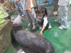 -嘉兴海底世界