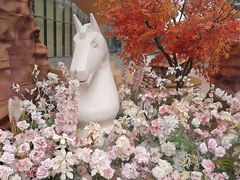-石家庄万象城
