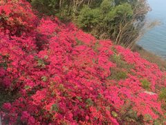 -涠洲岛火山国家地质公园