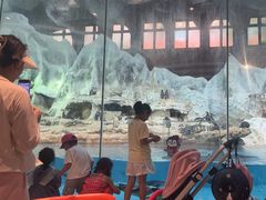 -帝企鹅自助餐厅•儿童岛•真企鹅(长隆企鹅酒店)