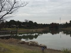 -尚贤河湿地