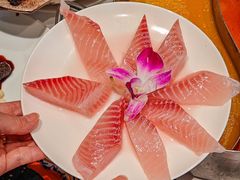 -京彩臻品火锅