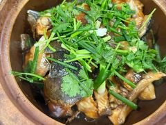 -区海鸡场饭店(石壁店)