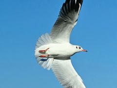 -滨寿司(高新伊藤店)