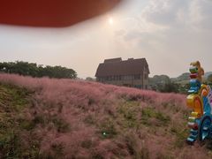 -大塘金香草谷
