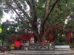 -南宁良凤江国家森林公园