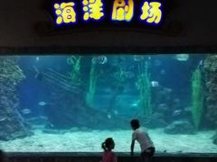 -南昌海洋公园