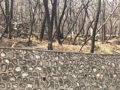 -北京上方山国家森林公园
