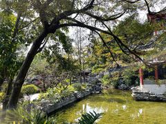 -顺峰山公园