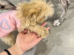 -瑞虹新天地月亮湾