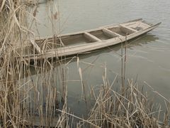 -盐城丹顶鹤湿地生态旅游区