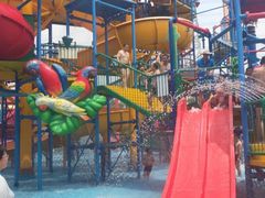 -苏州乐园森林水世界