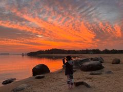 -瑶湖郊野森林公园