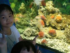 -泉州海丝野生动物世界