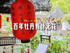 -上海醉白池公园