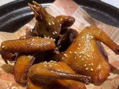 -鸽小宝(深圳首店)