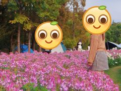 -上海滨江森林公园