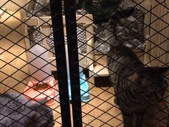 -有才叔北京时间涮肉(紫薇尚层店)
