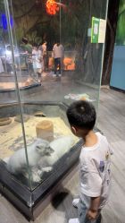 -未来动物城主题公园(正弘城店)