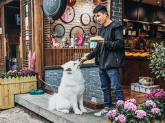 -猫的天空之城概念书店(丽江古城饮玉巷店)