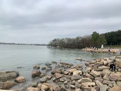 -宝安西湾红树林湿地公园