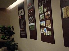 -端艾堂·SPA·艾灸(棕榈泉013店)