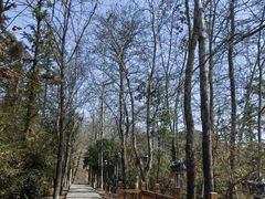 -云碧峰国家森林公园