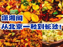 -潇湘阁(望京SOHO店)