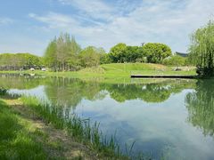 -贡湖湾湿地公园