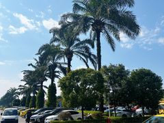 -德宏芒市国际机场