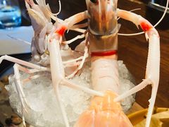 -斯普汇生蚝牛排馆(中骏世界城店)
