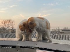 -前叁門