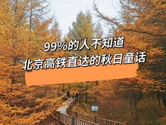 -苏木山森林公园