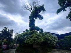 -寨沙侗寨(侗族歌堂)