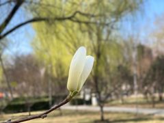 -南长河公园
