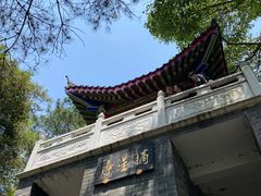 -青龙山国家森林公园