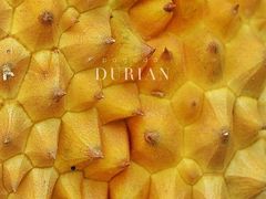 金枕榴槤-百果园(顺景花园店)