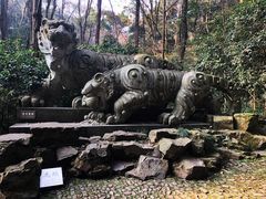 -虎跑公园