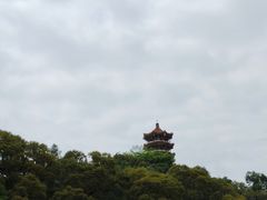 -深圳仙湖植物园