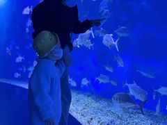 -哈尔滨波塞冬海底世界