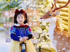 -HERRE·FARM 赫尔露营农场·团建聚会包场