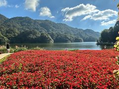 -广州市石门国家森林公园