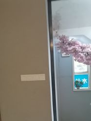 -康缇雅美容养生会所