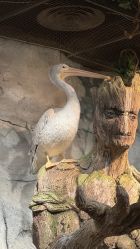 -Zoolung Zoolung动物主题公园(海信广场店)