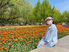 -长春公园(普阳街道)