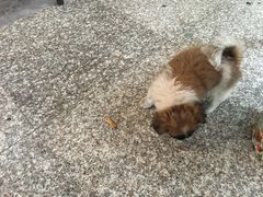 -沈记土鸡米线(七星街品牌中心店)