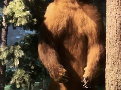 -陕西自然博物馆