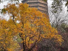 -玲珑塔公园