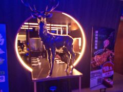 -额尔敦传统涮(公园西路店)