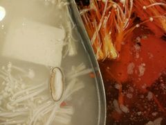 -彤德莱(青岛人民路店)